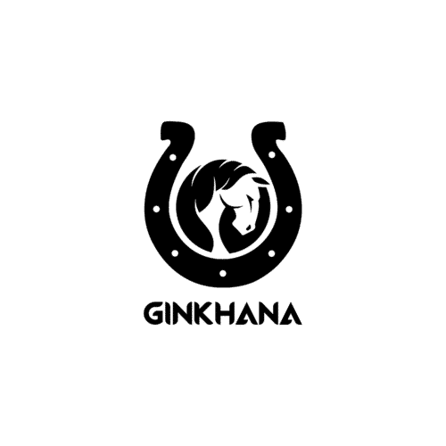Ginkhana